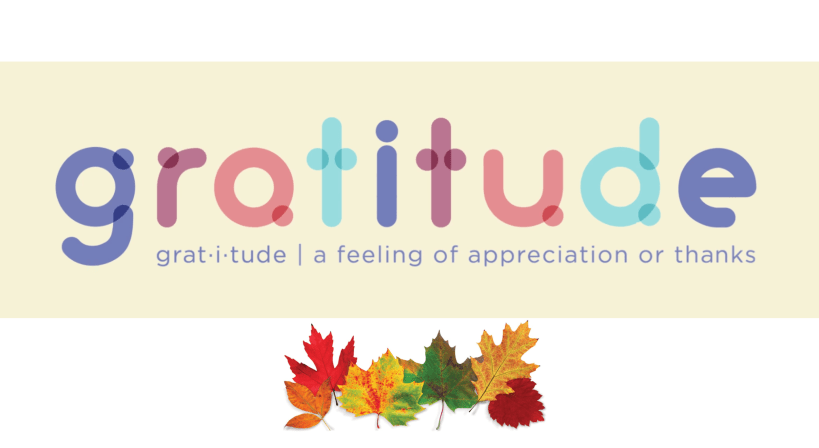 Screen Shot 2017-11-25 at 12.04.01 PM