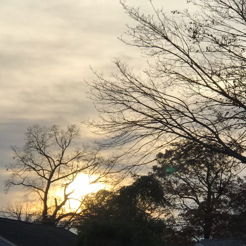 Looks like winter is here