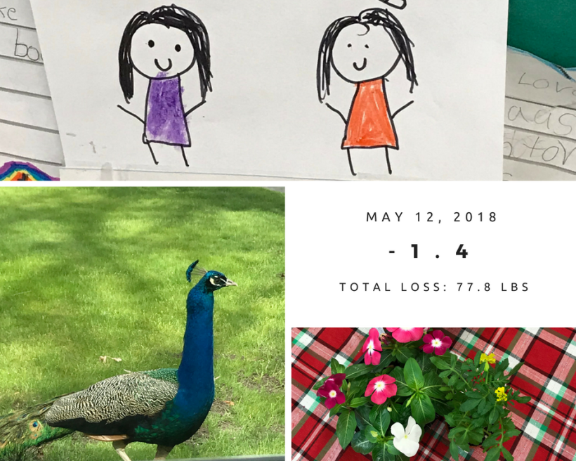 Total Loss May 12 2018