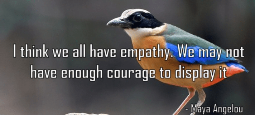 Screen Shot 2018-11-06 at 11.28.09 PM